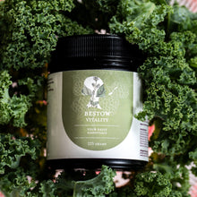 Load image into Gallery viewer, Bestow Vitality (with FREE shaker)