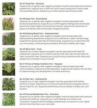 Load image into Gallery viewer, Aura Clear Support