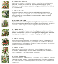 Load image into Gallery viewer, Chakra Balance Support