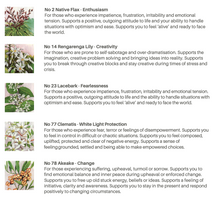 Load image into Gallery viewer, Crisis Support