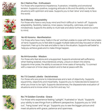 Load image into Gallery viewer, De-Stress Support