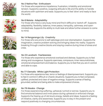 Load image into Gallery viewer, Sleep Support