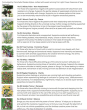 Load image into Gallery viewer, Vital Woman Menopause Support